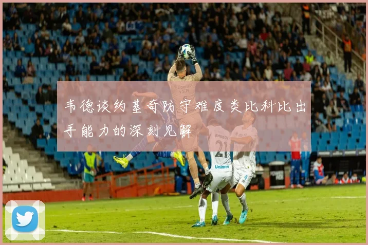韦德谈约基奇防守难度类比科比出手能力的深刻见解