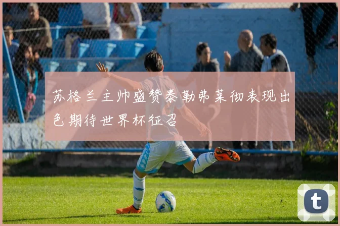 苏格兰主帅盛赞泰勒弗莱彻表现出色期待世界杯征召