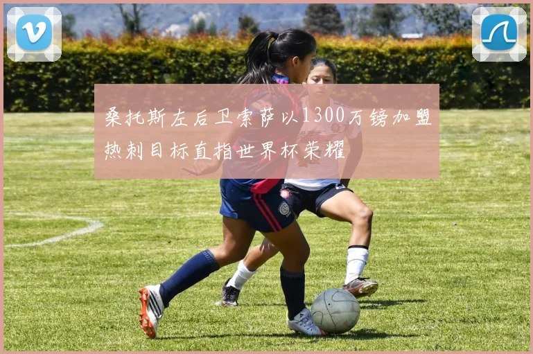 桑托斯左后卫索萨以1300万镑加盟热刺目标直指世界杯荣耀